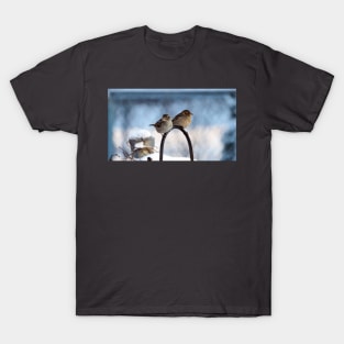 Two Female House Sparrows T-Shirt